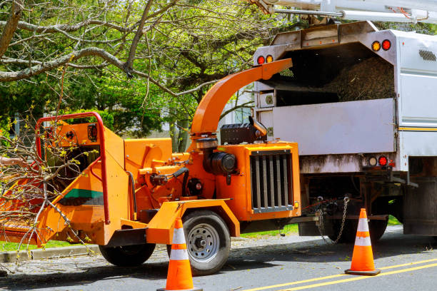 Best Seasonal Cleanup (Spring/Fall)  in Greene, RI